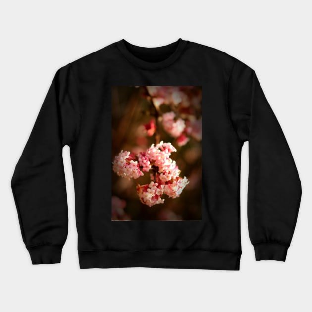 Buds Crewneck Sweatshirt by Jonesyinc